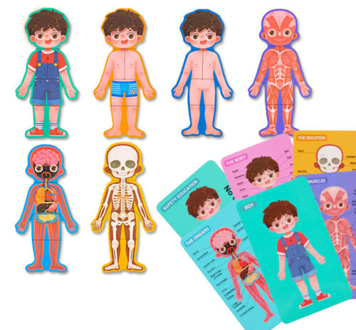 Puzzle corp uman lemn Montessori